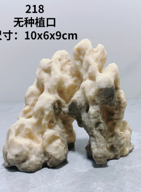 吴定石上水吸水石金钱菖蒲盆鱼缸