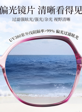 女士墨镜高级感偏光时尚太阳眼镜