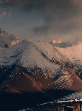 杜武朝 现代冬日冬韵意境雪景装饰画风景客厅卧室玄关走廊挂画