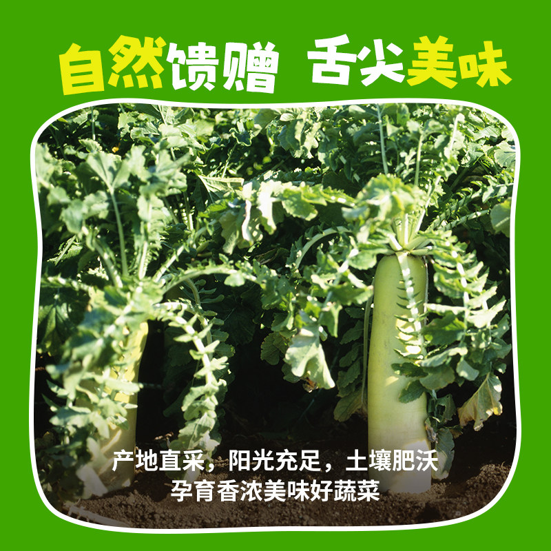 一号农场水果萝卜甜脆爽口生吃新鲜青皮绿心萝卜现拔多汁产地直发,淘宝优惠券,粉丝福利购,淘宝优惠卷