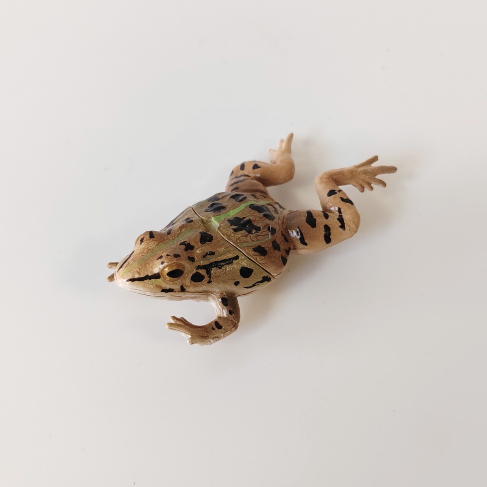 正版散货 日本扭蛋 Qualia黑斑侧褶蛙青蛙模型摆件手办,淘宝优惠券,粉丝福利购,淘宝优惠卷