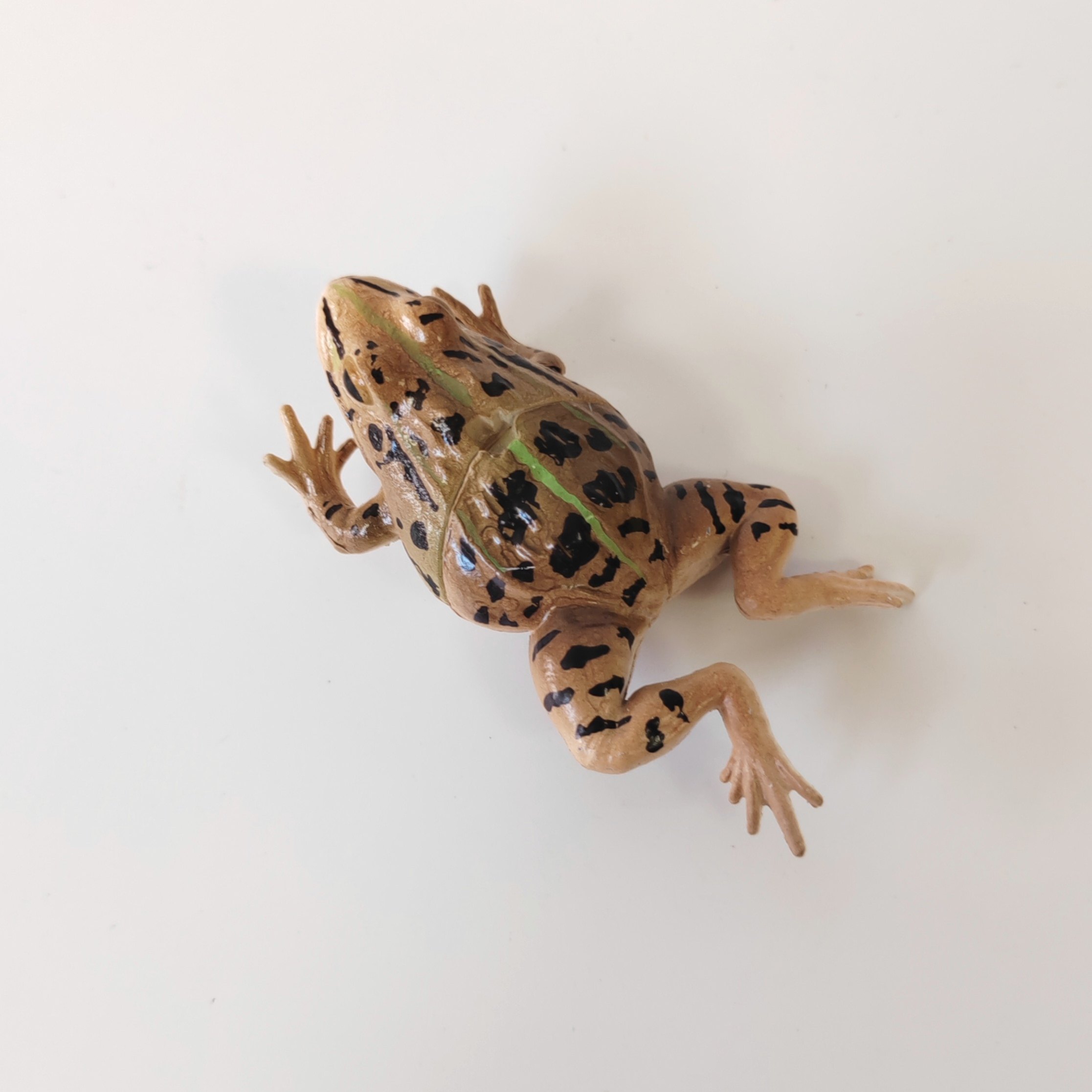 正版散货 日本扭蛋 Qualia黑斑侧褶蛙青蛙模型摆件手办,淘宝优惠券,粉丝福利购,淘宝优惠卷