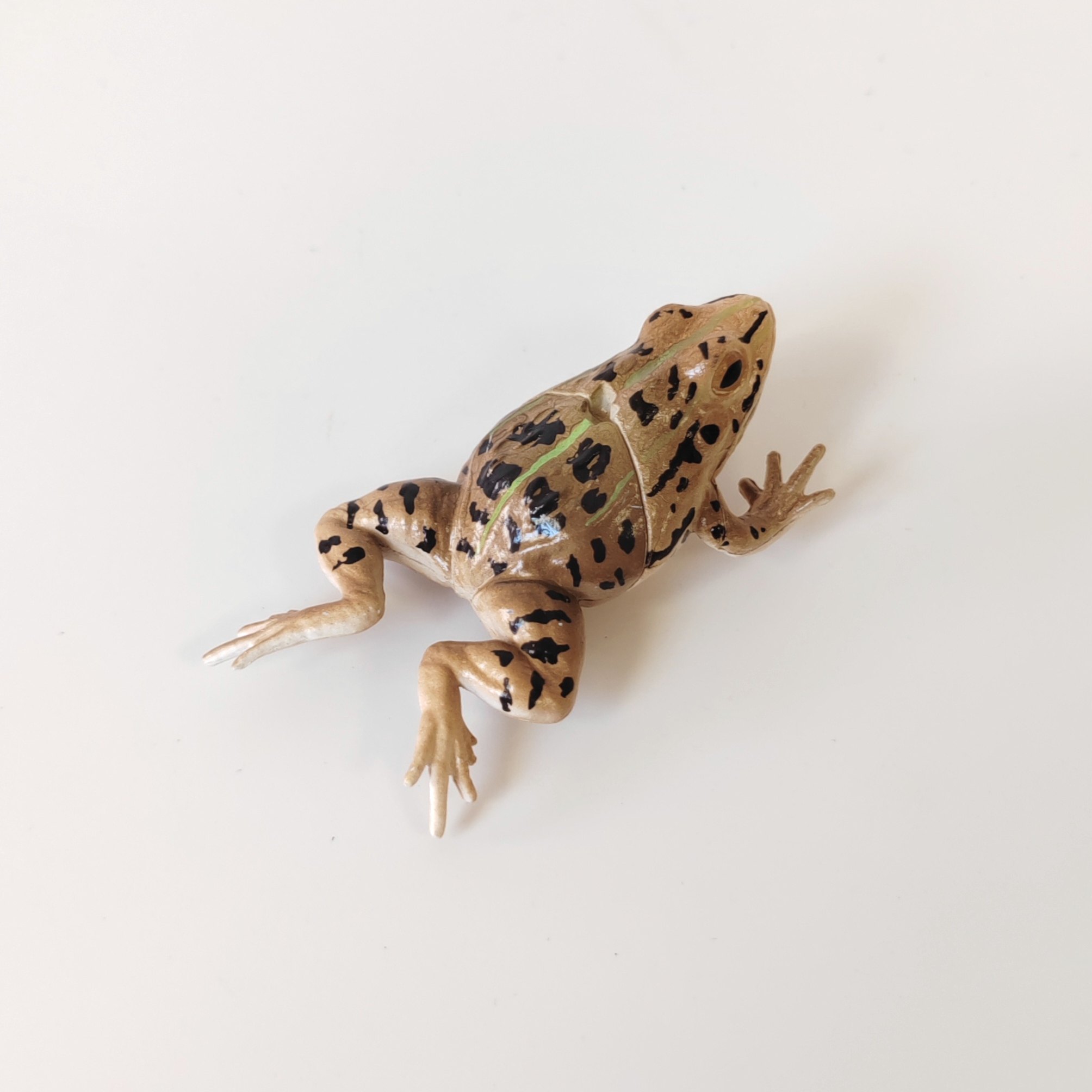 正版散货 日本扭蛋 Qualia黑斑侧褶蛙青蛙模型摆件手办,淘宝优惠券,粉丝福利购,淘宝优惠卷