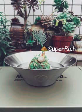包邮NBHD户外花盆植物种植栽培水培观赏花盆不锈钢耐用轻便不渗水