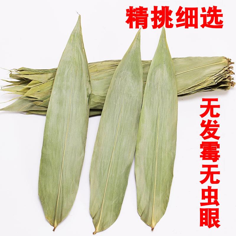 粽叶粽子叶免邮新鲜大号干家用竹叶包粽子的粽叶特大码棕叶非芦苇_虎窝淘