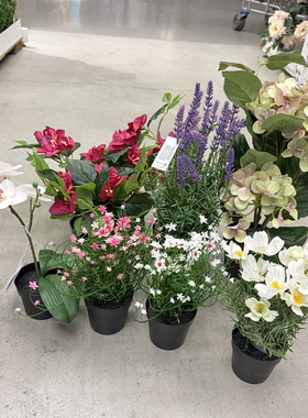 IKEA宜家 菲卡 人造盆栽植物仿真花装饰假花栩栩如生装扮摆件小花