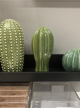 IKEA宜家 梵思吉 仙人掌3件套家居摆件拍照装饰景绿色