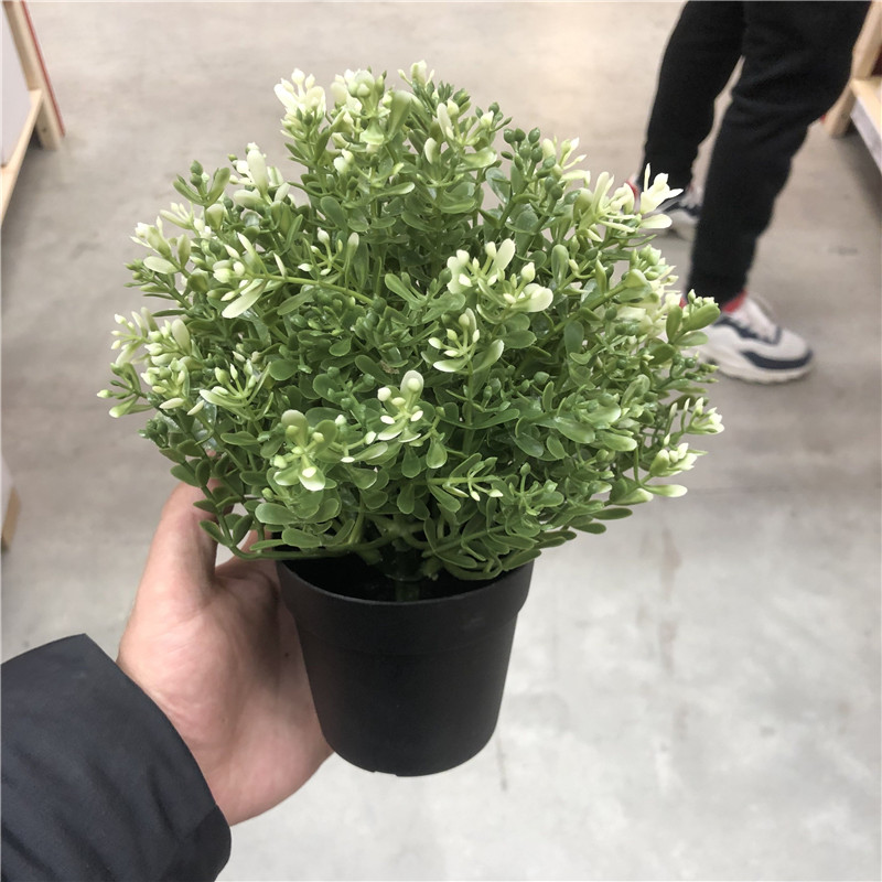 IKEA宜家 菲卡 人造盆栽植物, 百里香公司装饰绿植 - 图0