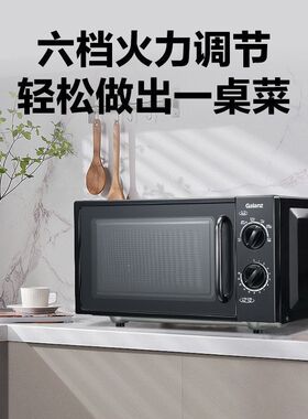 格兰仕微波炉20L容量操作简易微波炉家用全自动多功能微波炉XB1