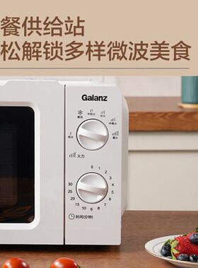 格兰仕微波炉17L转盘式家用多功能热饭菜迷你小型微波炉V1(W0)