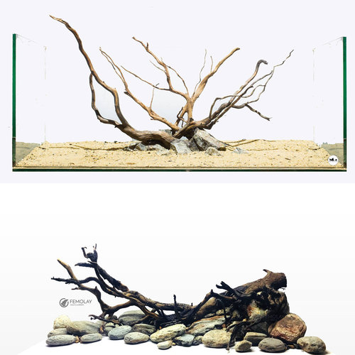 鱼缸造景套餐装饰紫柚木沉木南美原生缸溪流缸亚马逊沉木南美造景 - 图2