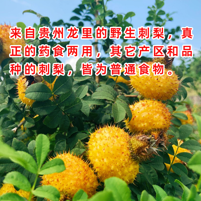 正宗无硫刺梨干果500g新鲜刺梨果茶贵州龙里天然刺梨果干可代打粉 - 图0