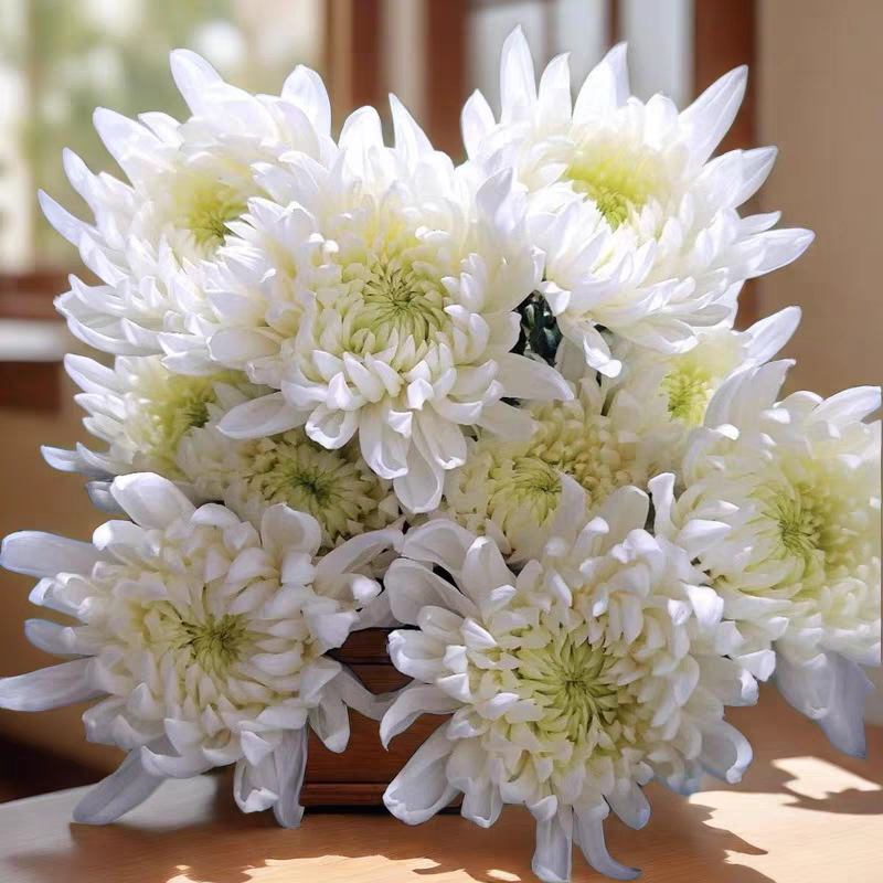 菊花鲜花新鲜白菊黄菊花清明节哀悼祭祖扫墓云南昆明基地直发