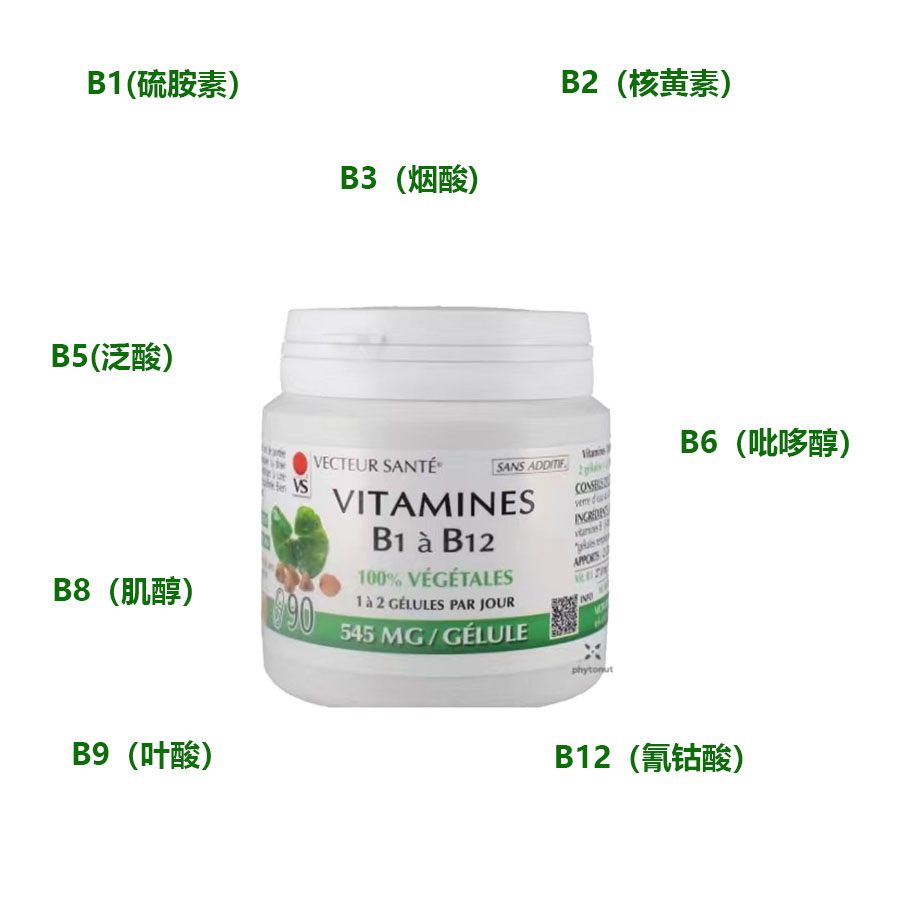 法国vecteur sante天然活性B族维生素 B1B2B6B12VB熬夜提高代谢