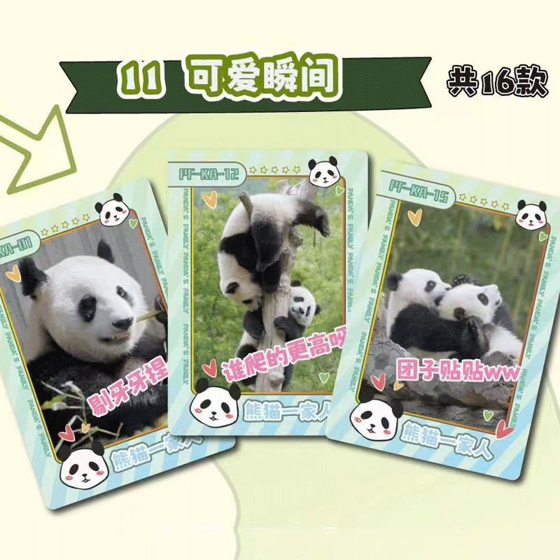 【拆卡】小芒正版授权 《熊猫滚滚来》官方收藏卡（盲盒代拆） - 图2