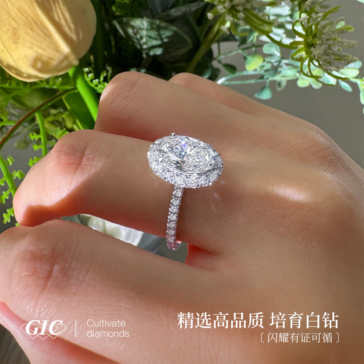 Pigeon egg PT950 platinum artificially cultivated diamond ring one carat diamond ring HW home the one surrounded by diamond ring