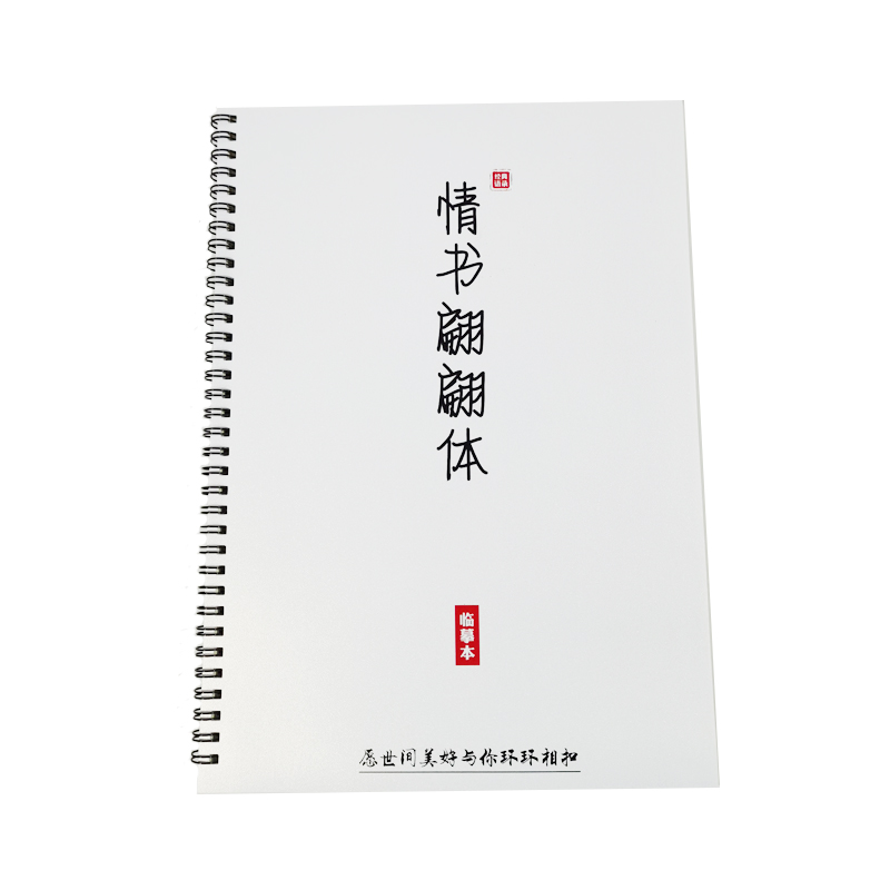 网红情书翩翩体字帖作文素材央视文案励志语录十八楼语录钢笔字帖 - 图3