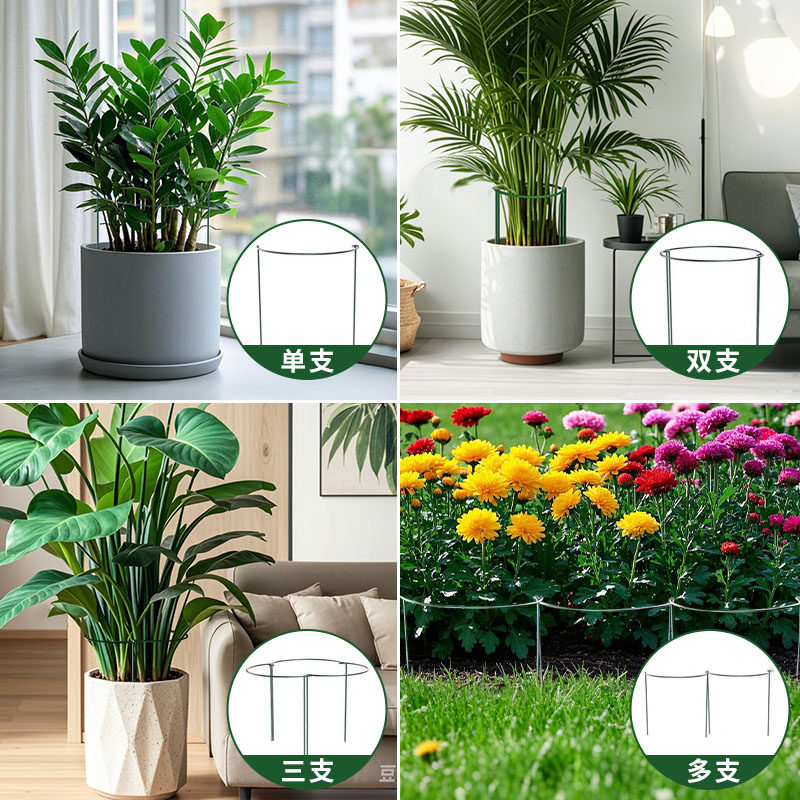 花架支撑杆防倒伏爬藤支架固定植物支撑架花架子龟背竹金钱树护花,淘宝优惠券,粉丝福利购,淘宝优惠卷