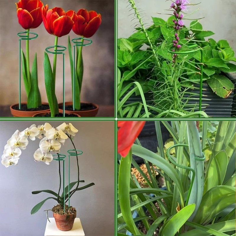 植物防倒伏支架铁艺绣球吊兰支撑杆园艺固定架爬藤花卉朱顶红花架,淘宝优惠券,粉丝福利购,淘宝优惠卷