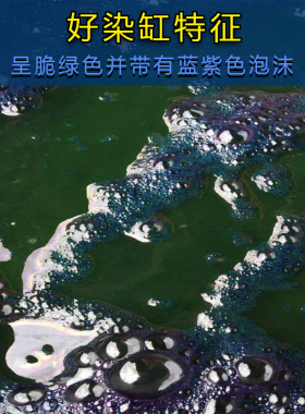 蜡染印染纯植物靛蓝泥板蓝根染料