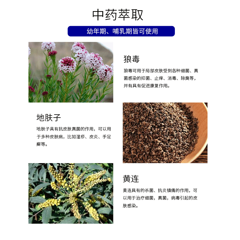 克微爽狼毒抑菌皮肤喷剂猫癣狗脓皮症真菌细菌红肿皮炎京霸生物 - 图2