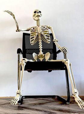 Halloween Realistic Body Bones Life Size Human Skeleton With