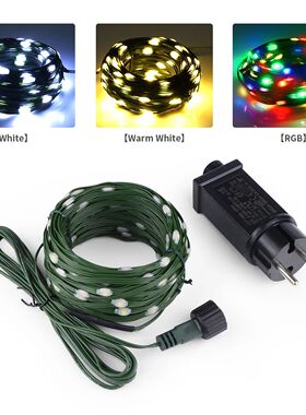 24V LED Christmas lights Green Wire Leather Fairy Lights Str