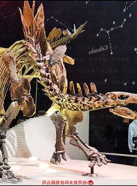 仿真剑龙化石骨架大型恐龙玻璃钢骨架化石动物骨骼化石复原展品