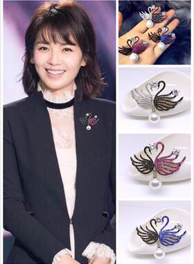 高档韩国胸花小香黑白锆石外套