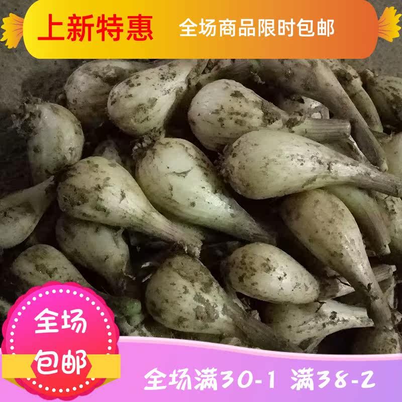 农家新鲜先挖5斤教头新鲜蔬菜 刘小歪食品其它