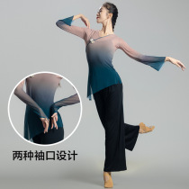 DANCEROOM Classical Dance Suit Womens Gradient Flutter Dress Chinese Dance Practice to Fairy Rhyme