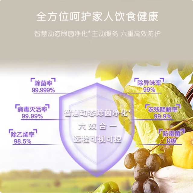 Casarte 721 free built-in refrigerator