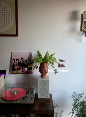 Moment Future现代简约韩系复古橘色花瓶赏瓶摆件盆栽栽培陶瓷器