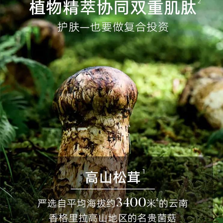 植物医生高山松茸玉肌水舒缓抗皱紧致补水保湿爽肤水湿敷官网正品