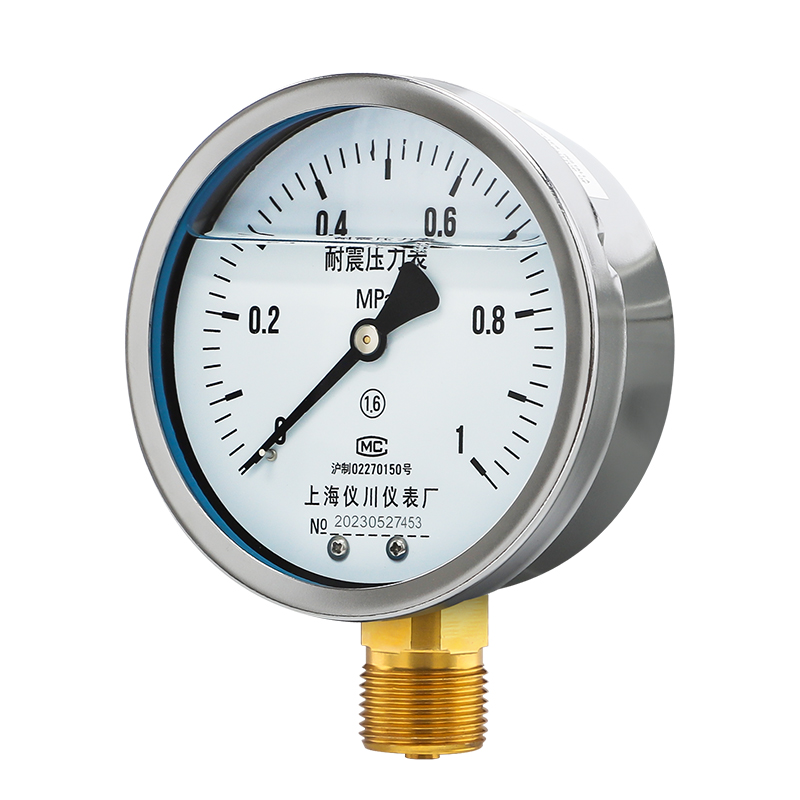 上海仪川仪表厂压力表不锈钢耐震加氟抗震氮气油表显示器真空负压 - 图3