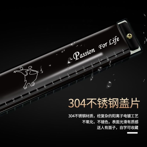 复音口琴正品嘉德瑞24孔C调初学者自学可刻字专业演奏级乐器 - 图2