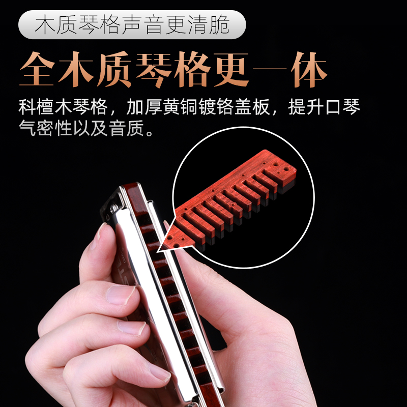 JDR嘉德瑞布鲁斯口琴十孔蓝调GM-1920专业演奏级旗舰店paddy音阶