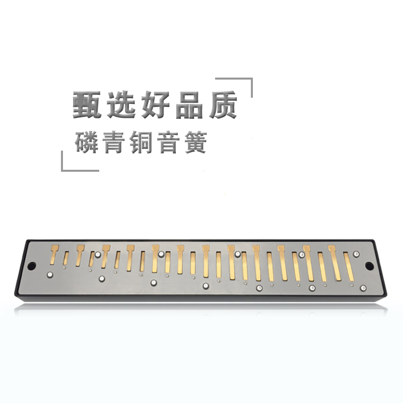 jdr嘉德瑞旗舰店复音口琴嘉德瑞24孔C调初学者自学零基础专业成人儿童入门乐器0