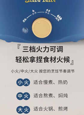 110v中国台湾美国日本电煮锅火锅