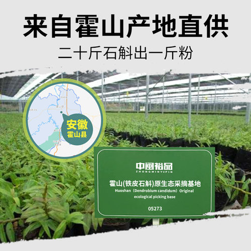 中闽裕品铁皮石斛粉官方旗舰花粉枫斗新干鲜条正品非中药材特级 - 图1