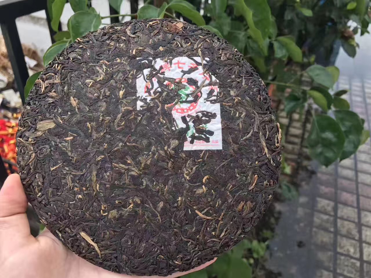 普洱茶生茶2007年 八八青饼 88青饼 7542 云南七子饼茶古树老树茶