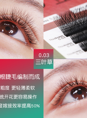 三叶草软毛y型种植浓密自然