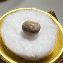 (special) horse head meditation with solid subcompact single for the Schleitättgäu box size approc. 7-8mm