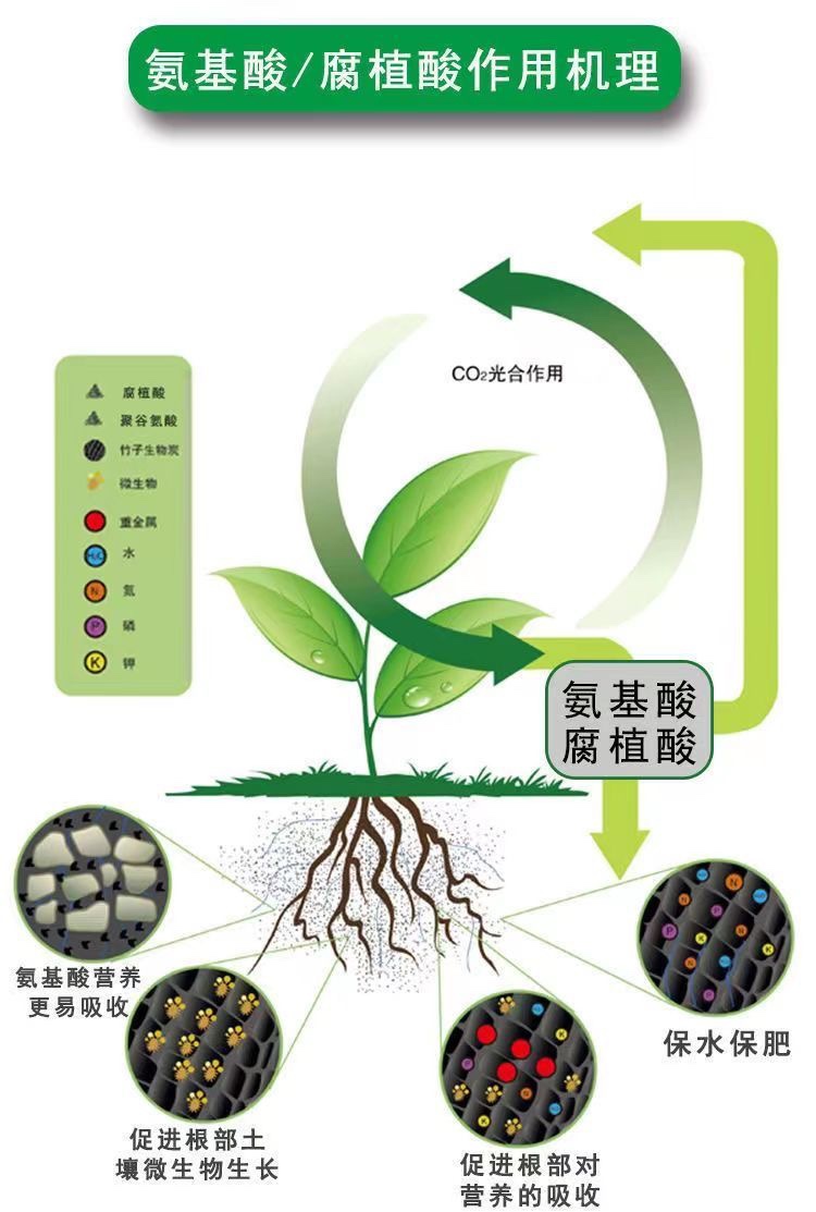 营养液植物通用型绿植肥料盆栽发财树富贵竹绿萝水培花卉花肥家用-图1