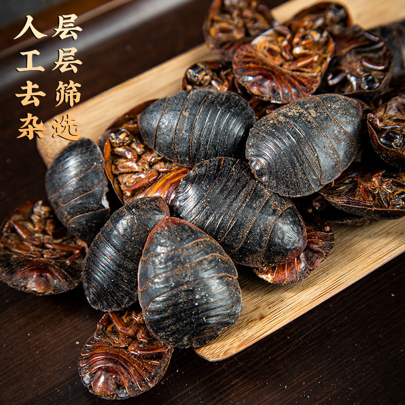 土元中药材土元500g克包邮新货地鳖虫土元虫干土鳖虫土鳖个土元粉_虎窝淘