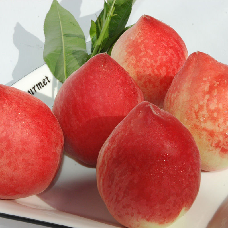 现货春雪毛桃水蜜桃新鲜水果孕妇脆甜冬桃子当季整箱顺丰