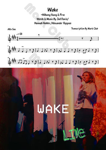 Wake 扒谱服务 萨克斯谱 单簧管谱 长笛谱 小号谱 小提琴谱 伴奏 - 图2