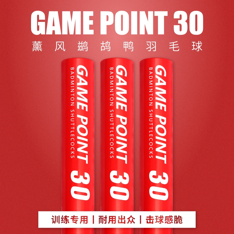 薰风官方正品GP30羽毛球稳定耐打不易烂12只装鸭毛熏风羽球训练球 - 图0