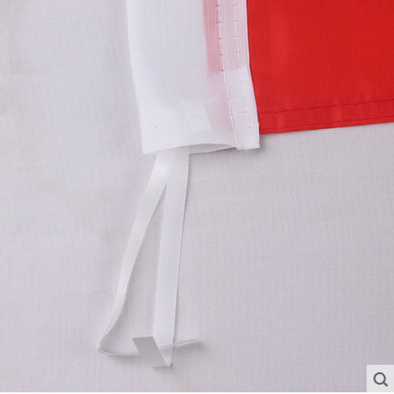 亚众加厚党旗防水纳米防晒色泽鲜艳党旗12345号大中小北京发货 - 图2