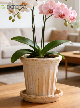 deroma帝罗马陶土罗马柱花盆